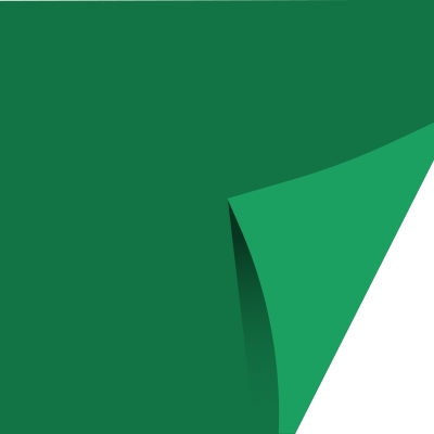 Lona LILLI Flex - Dupla Face - VERDE MUSGO